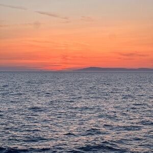 Meet your Posher, Winston C